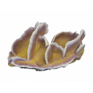 HAQUOSS POCILLOPORA 4 - 28,5x17,5x13h cm